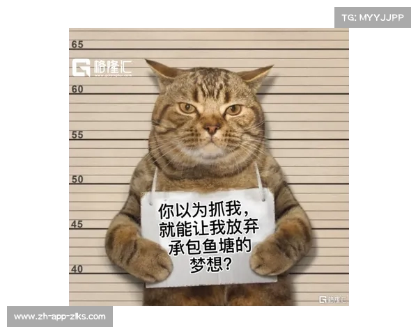 迷路猫咪引敌入局 Cat致命掉点令人啼笑皆非